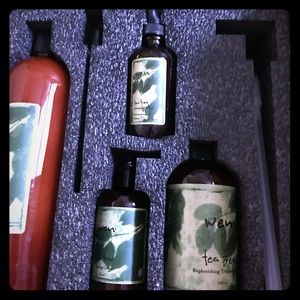 Wen Tea Tree Multipack in large sizes with pumps